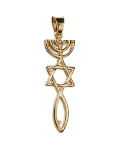 14 karat Gold 'Grafted In' Pendant - Made in Israel