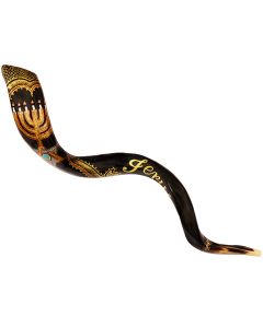 'Grafted In' Messianic Shofar from Jerusalem