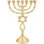 Grafted In Messianic Menorah - Classic