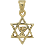 Gold Plated Star of David with Menorah Pendant
