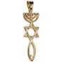 14 karat Gold 'Grafted In' Pendant