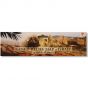 Raised-Relief Map of Israel in Biblical Times - banner