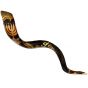 'Grafted In' Messianic Shofar from Jerusalem