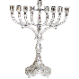 Silver Plated Children's Hanukkah Menorah